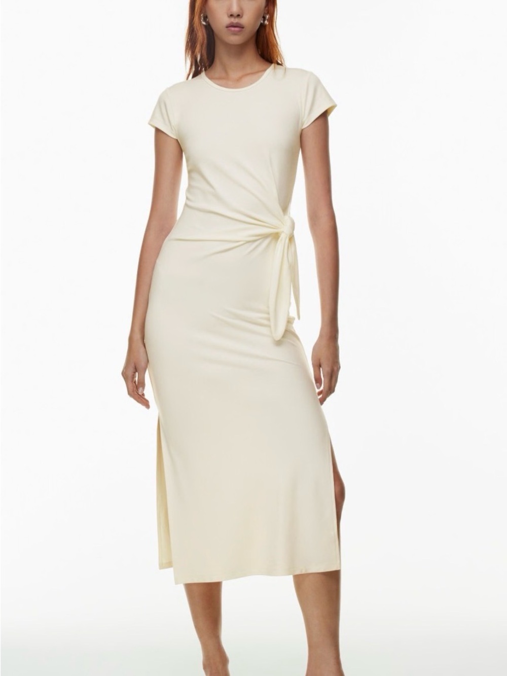 Aritzia Fortune Maxi Dress